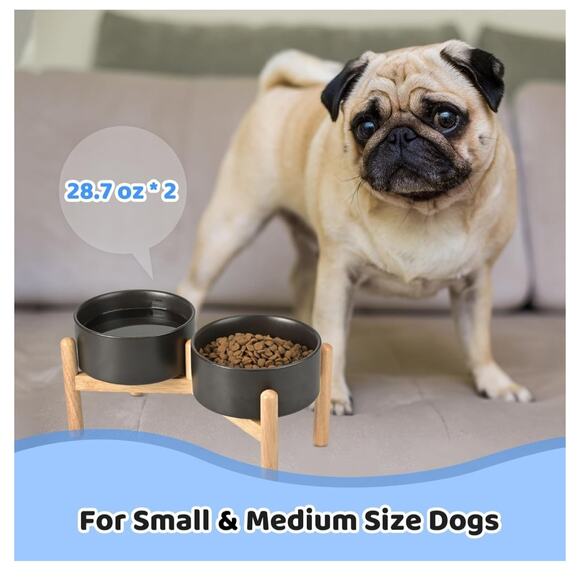 6853 Spunky Junky Raised pet food and water dishes. NEW Black with wood stand - Picture 1 of 7